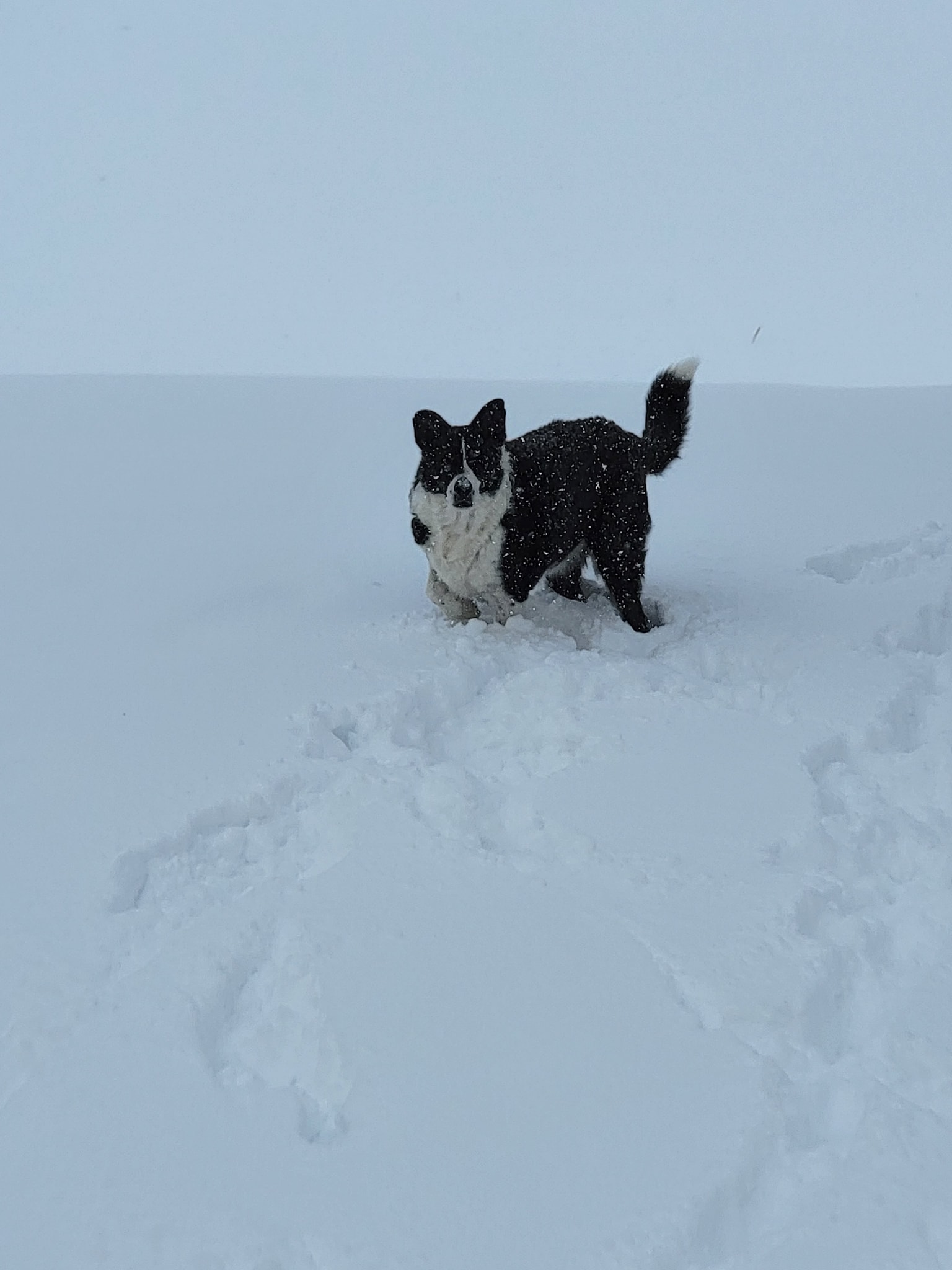January 18, 2023, Record Breaking Snow